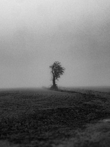 Photo de la semaine