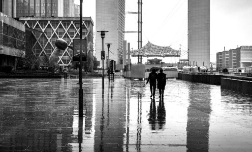 Photo de la semaine