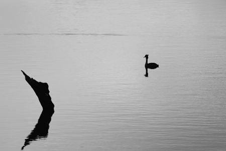 Photo de la semaine
