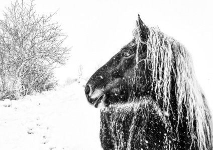 Photo de la semaine